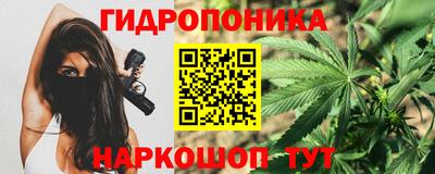 соль ск Будённовск