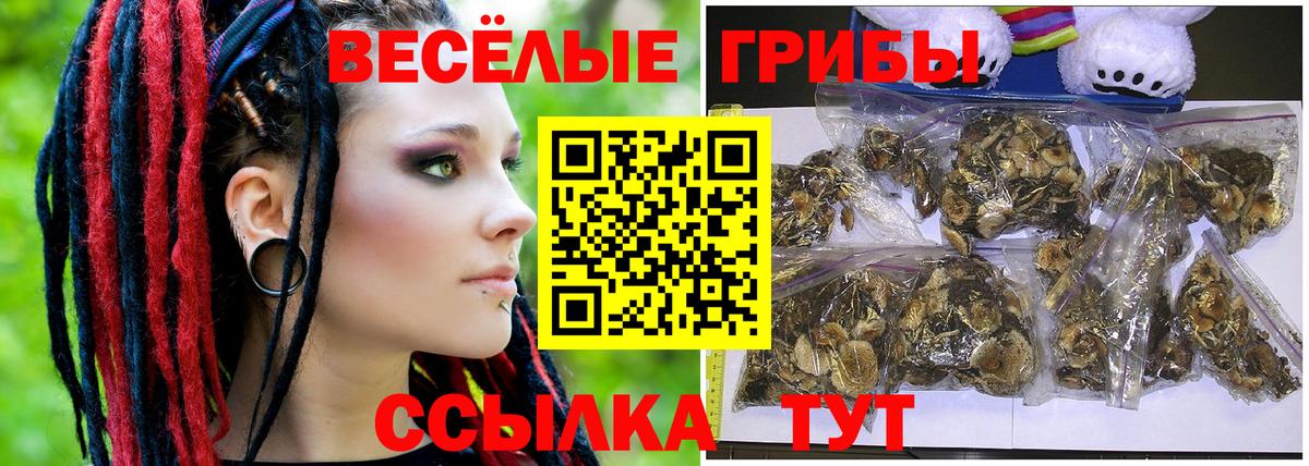 Медногорск  Галлюциногенные грибы Psilocybe  купить  сайты  Вход с VPN 